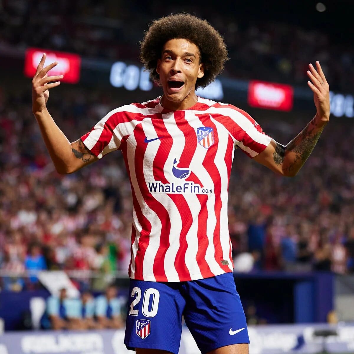 Axel Witsel
